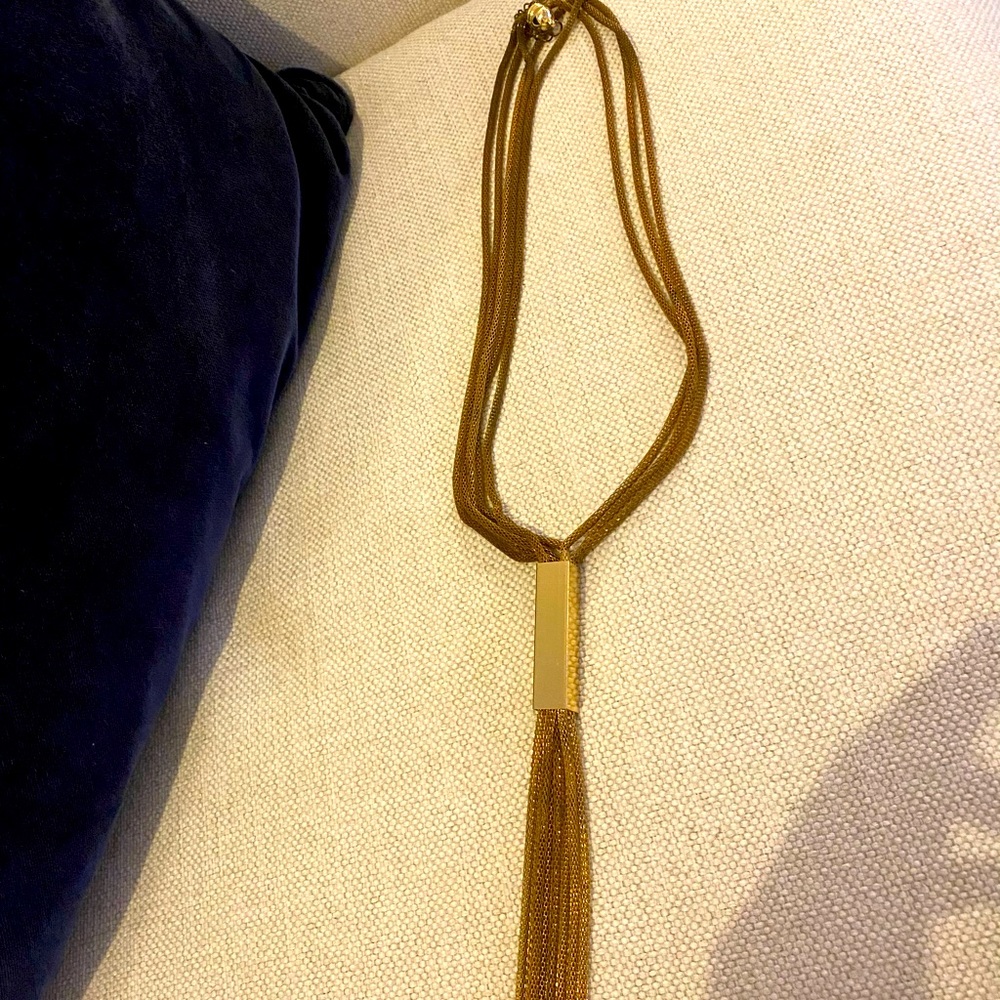 Gold tassel necklace-cool!